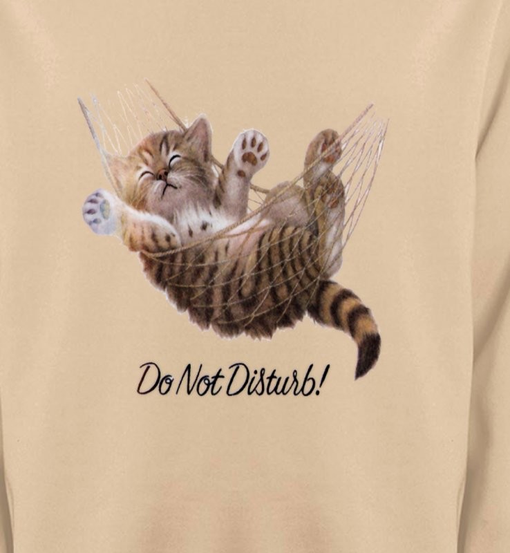 Chaton dans un hamac Do not disturb