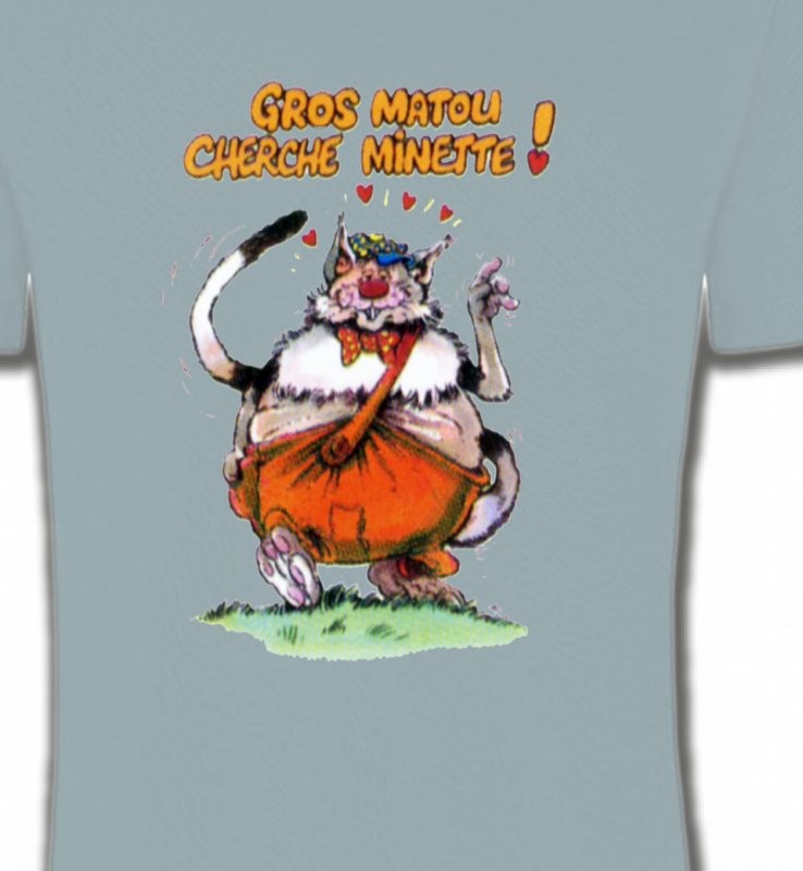 Chat Humour (H) Gros matou cherche minette