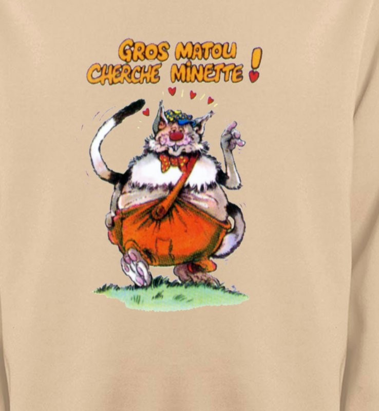 Chat Humour (H) Gros matou cherche minette