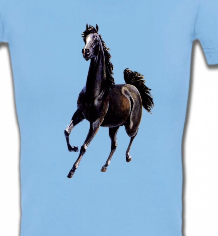 Marwari Cheval au galop (C)