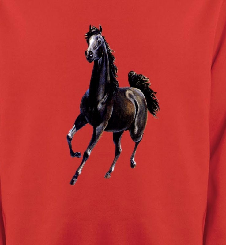 Marwari Cheval au galop (C)