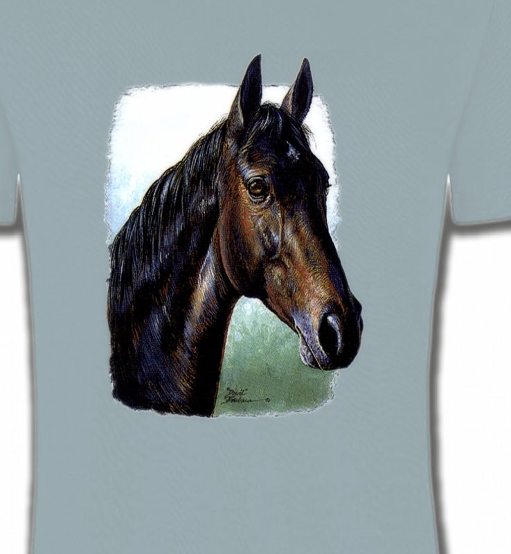 Cheval brun (W2)