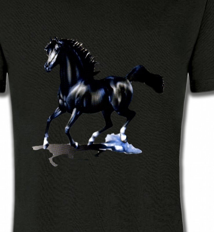 pur sang cheval noir (O)