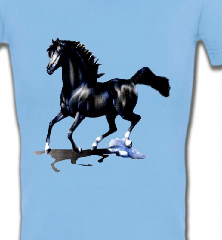 pur sang cheval noir (O)