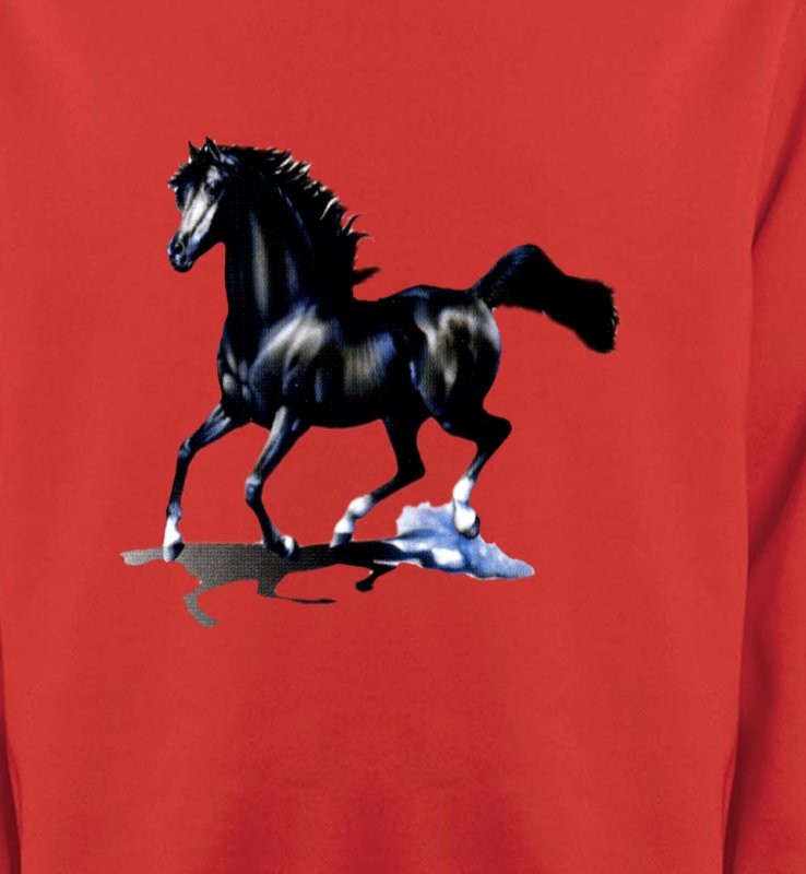 pur sang cheval noir (O)