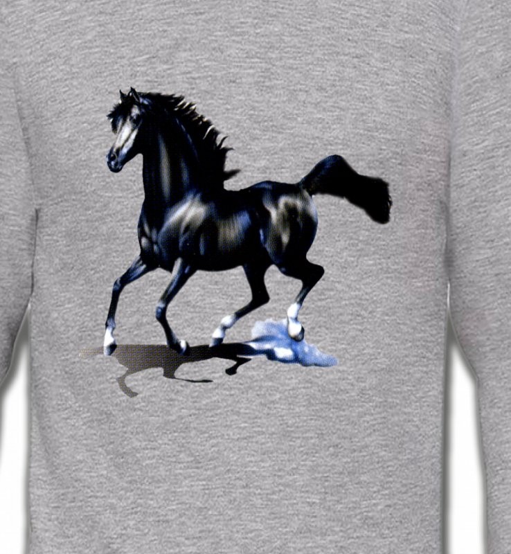 pur sang cheval noir (O)