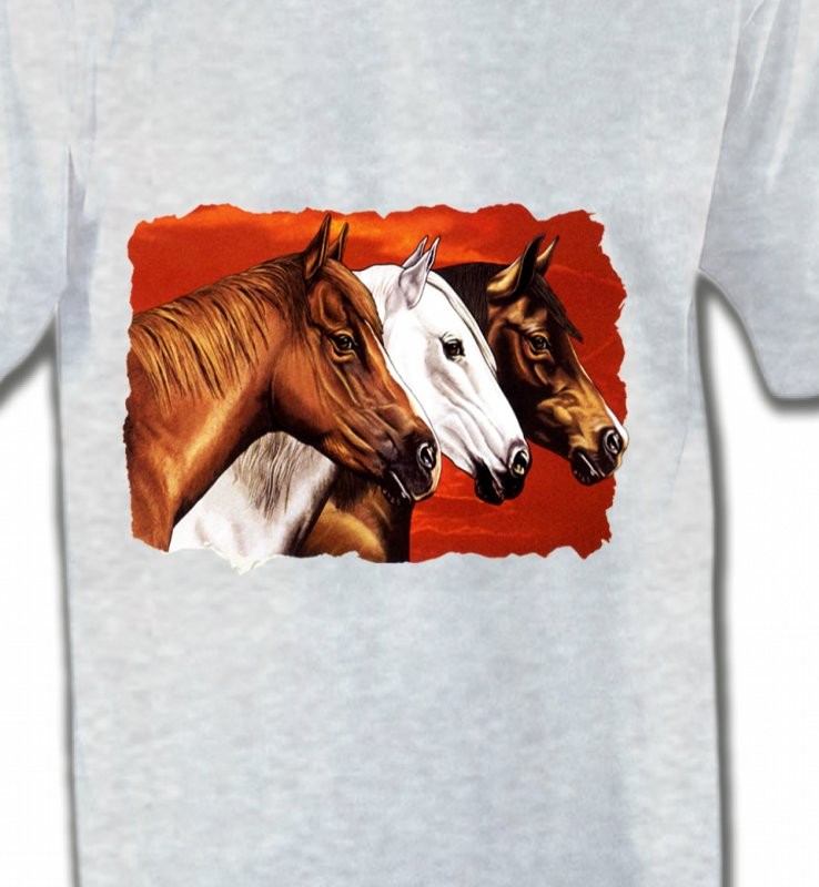Têtes de chevaux (B4)
