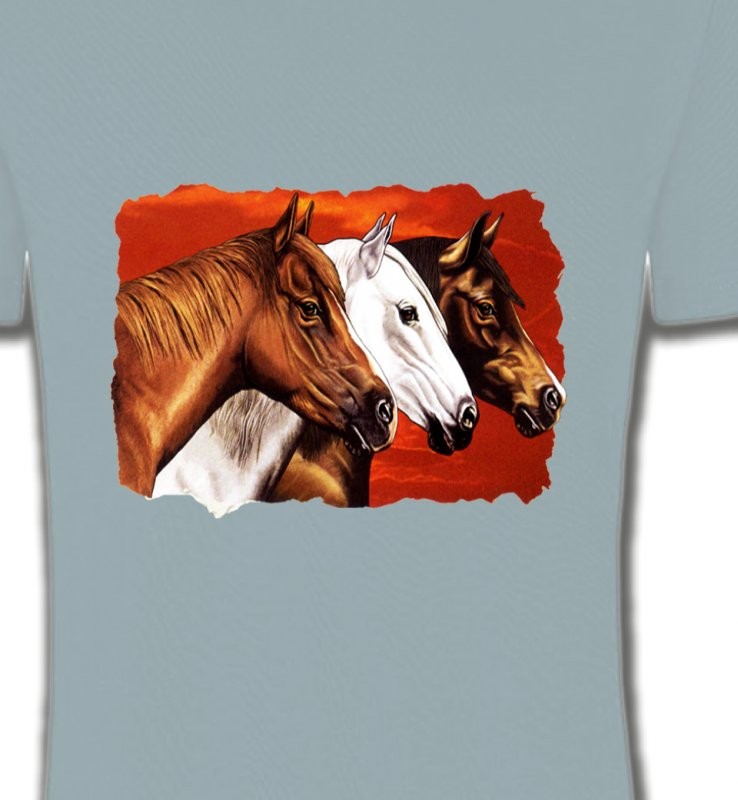 Têtes de chevaux (B4)