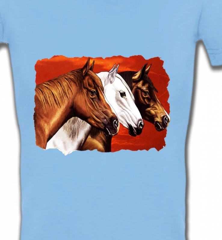 Têtes de chevaux (B4)