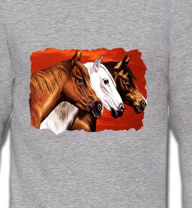 Têtes de chevaux (B4)