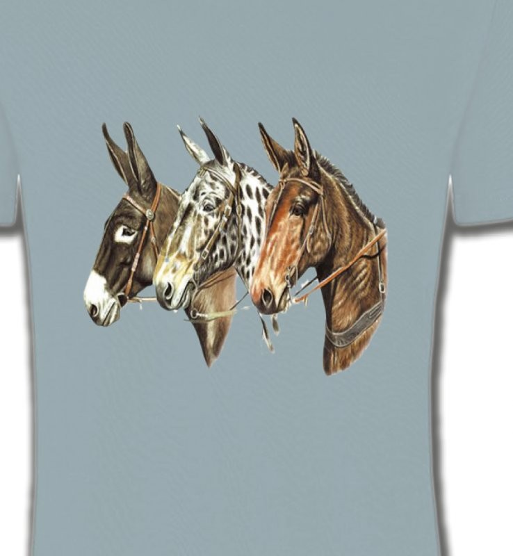 Têtes de chevaux (F)