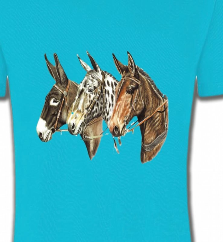 Têtes de chevaux (F)