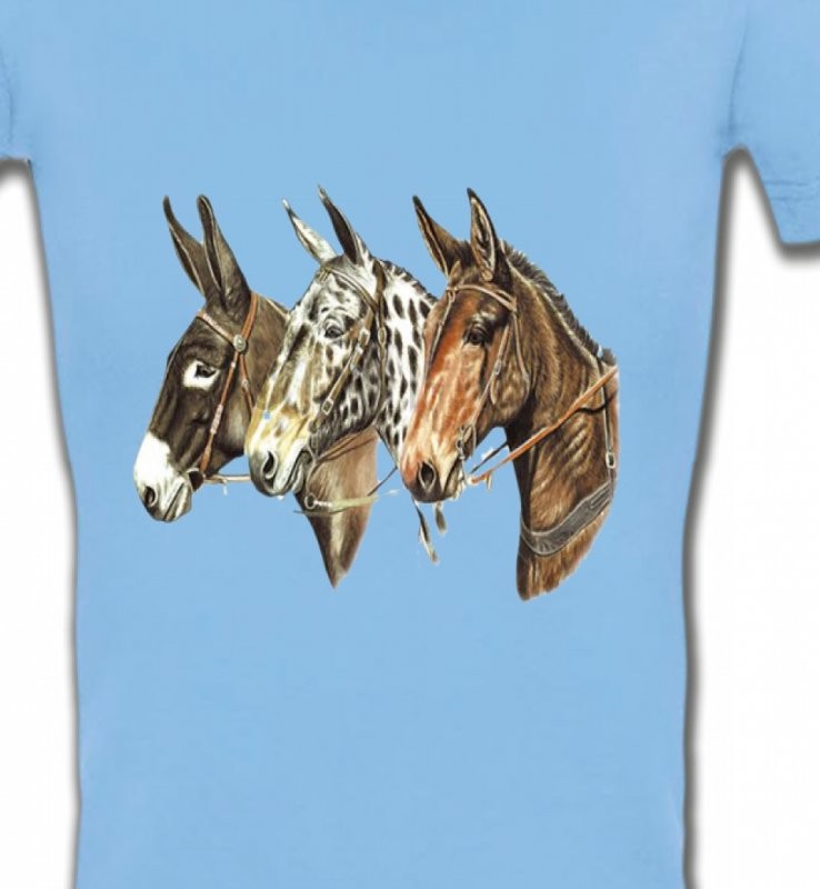 Têtes de chevaux (F)