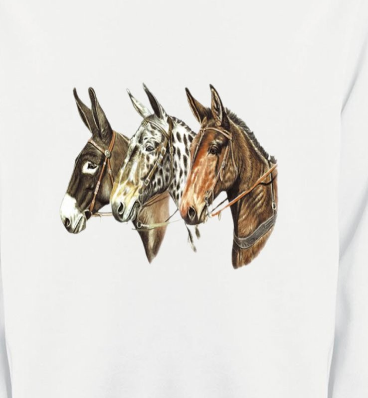 Têtes de chevaux (F)