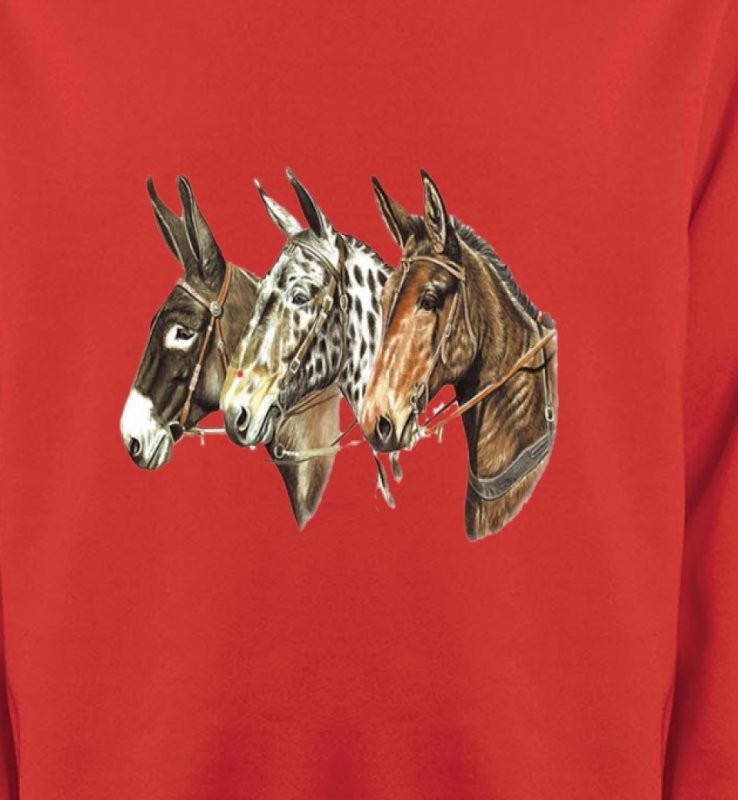Têtes de chevaux (F)