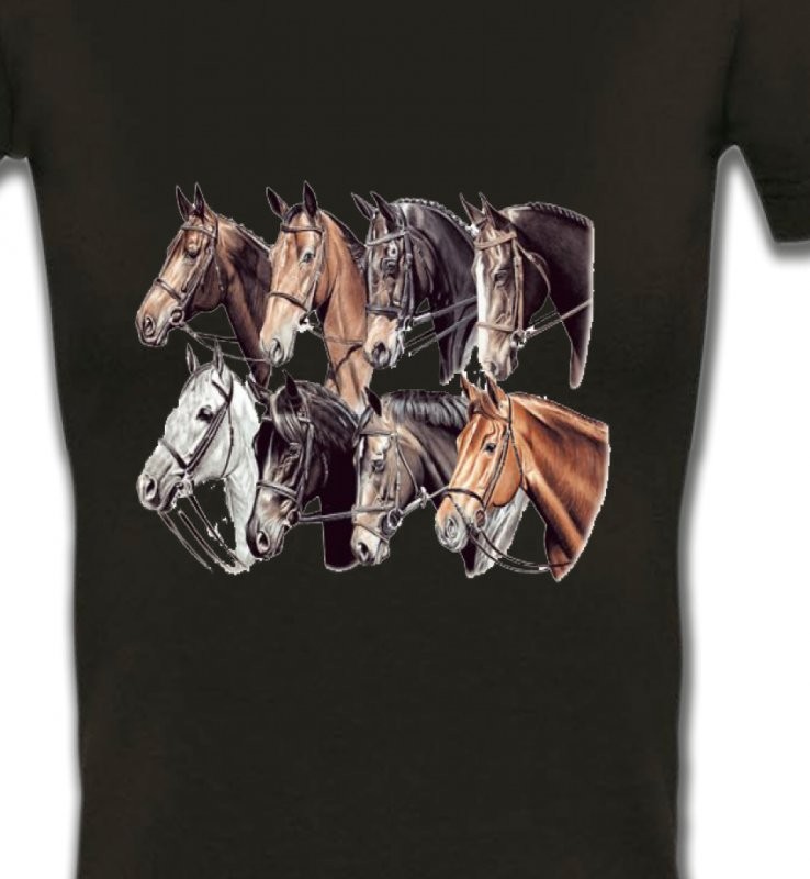 Têtes de chevaux (L2)