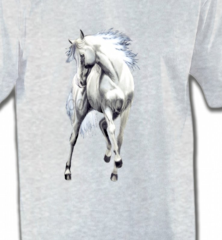 Le cheval blanc d'andalou (G2)