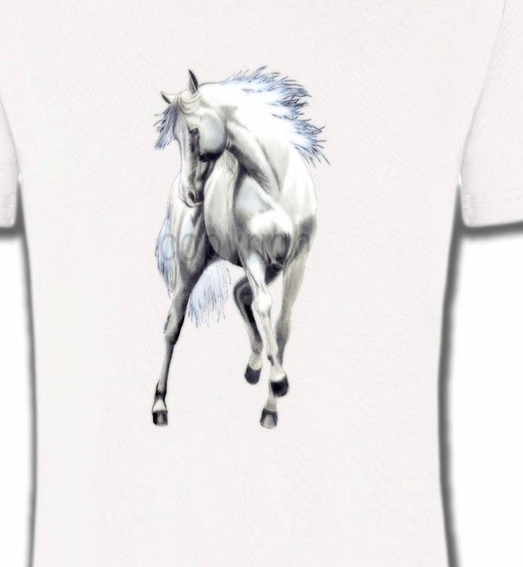 Le cheval blanc d'andalou (G2)