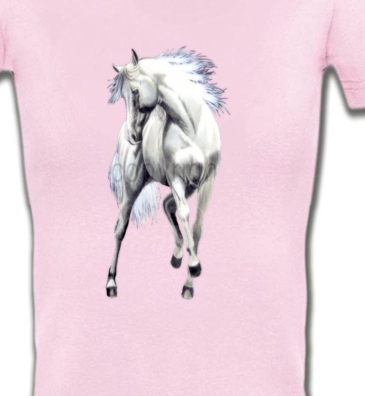 Le cheval blanc d'andalou (G2)