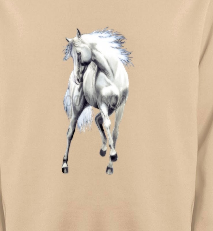 Le cheval blanc d'andalou (G2)