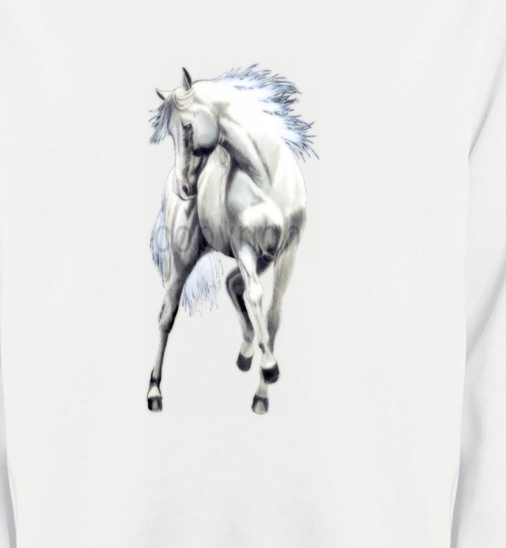 Le cheval blanc d'andalou (G2)