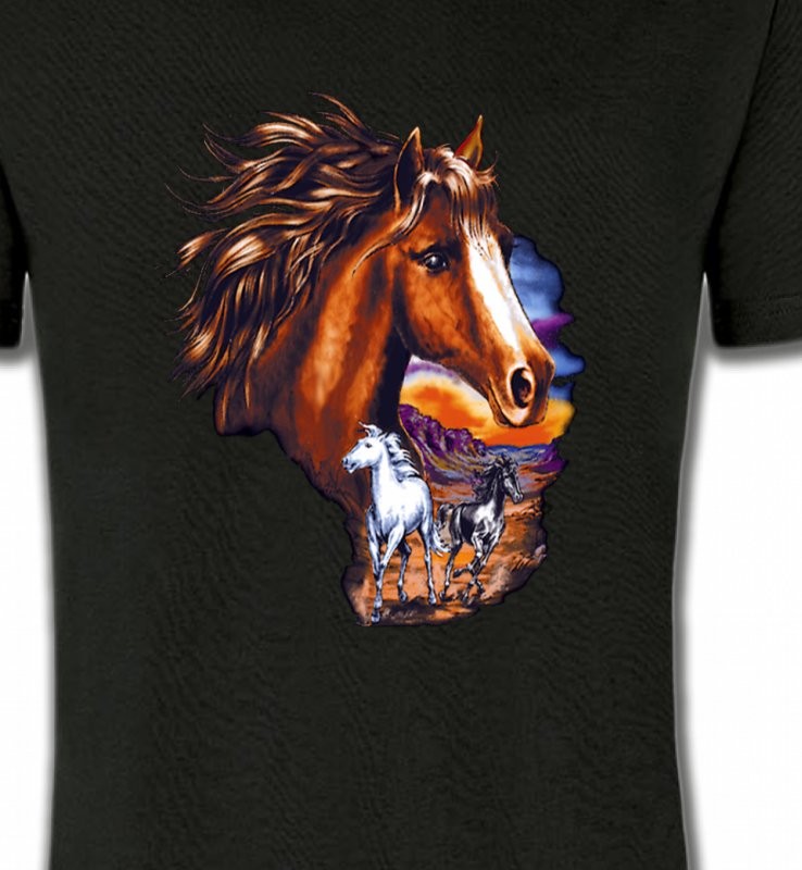 Canik chevaux au crépuscule sauvages (P)