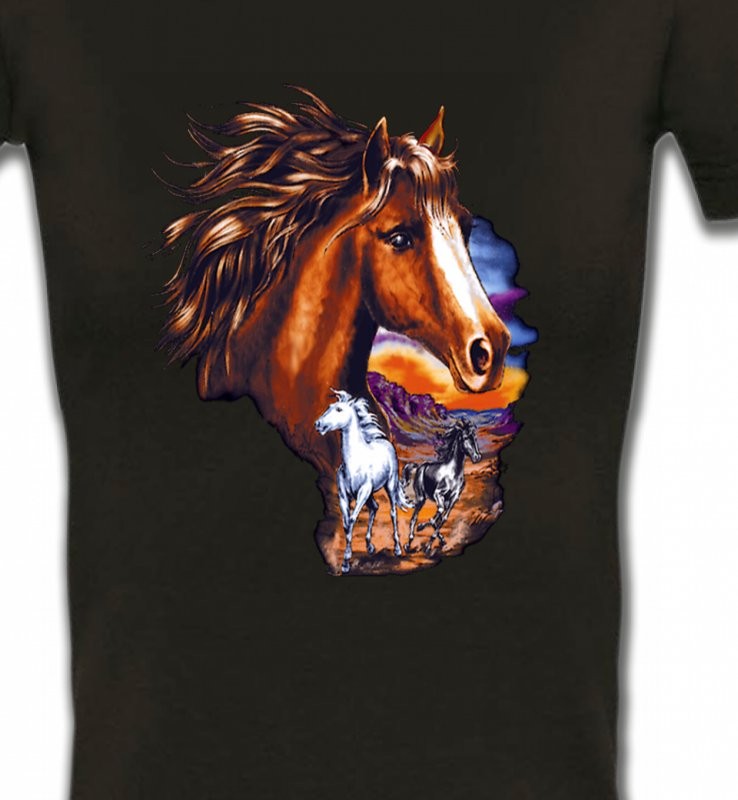 Canik chevaux au crépuscule sauvages (P)