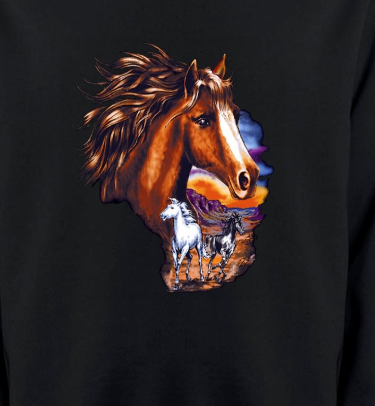 Canik chevaux au crépuscule sauvages (P)