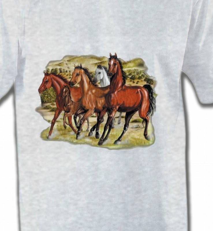 Chevaux Pur sang au galop (D)