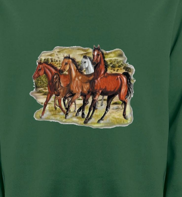 Chevaux Pur sang au galop (D)