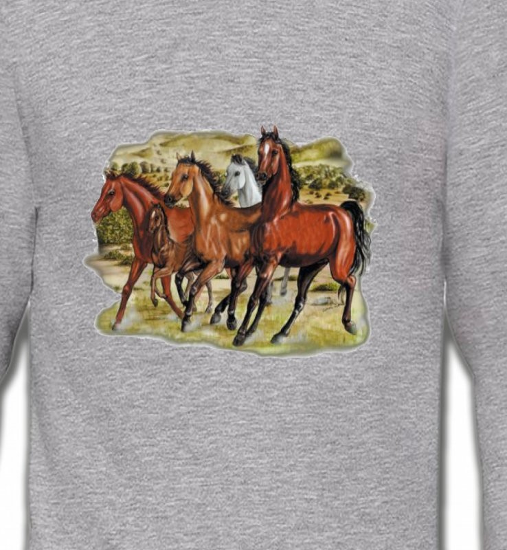 Chevaux Pur sang au galop (D)