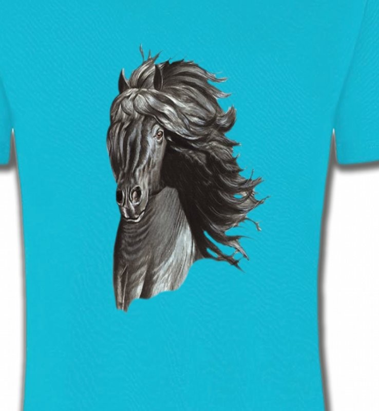 Tête de cheval  Frison noir (A)