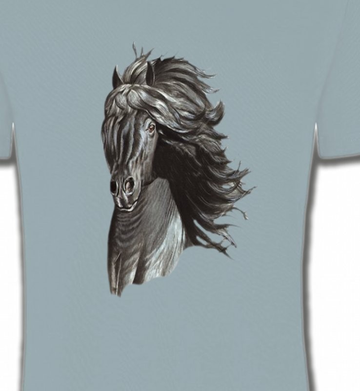 Tête de cheval  Frison noir (A)