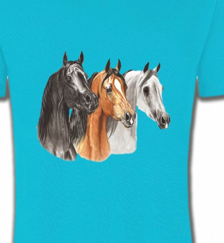 Tête de chevaux pur sang  noir brun et blanc (B)