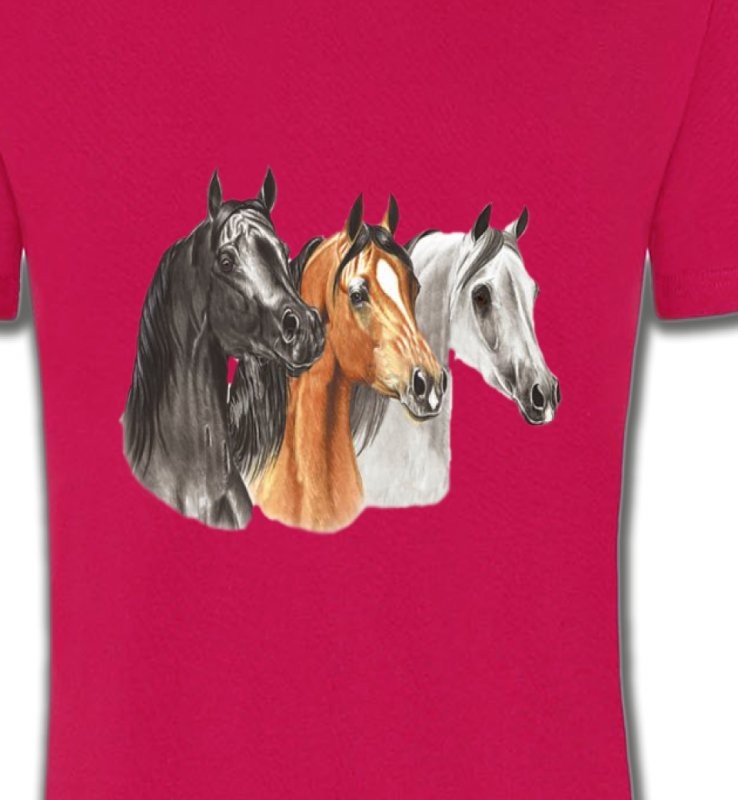 Tête de chevaux pur sang  noir brun et blanc (B)