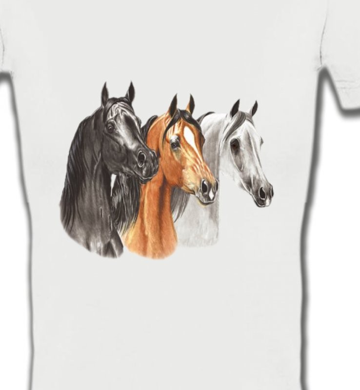 Tête de chevaux pur sang  noir brun et blanc (B)