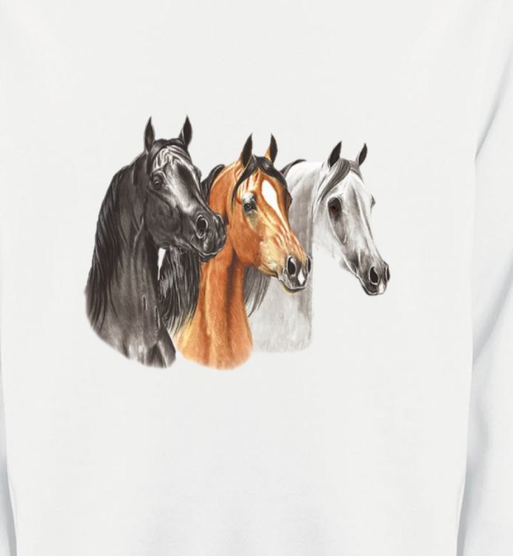 Tête de chevaux pur sang  noir brun et blanc (B)