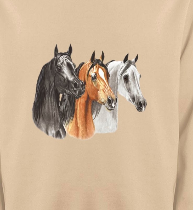 Tête de chevaux pur sang  noir brun et blanc (B)