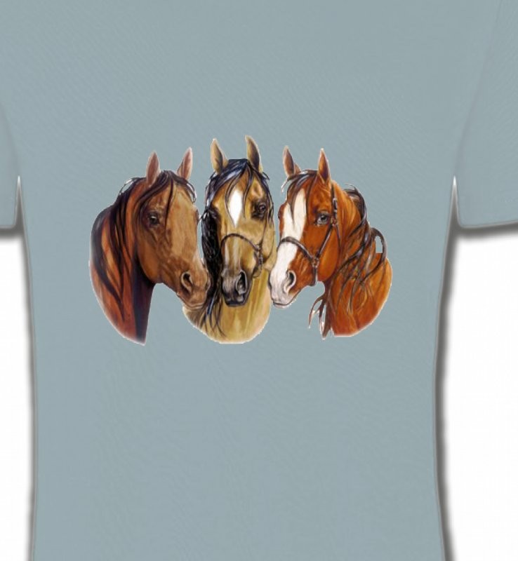 Chevaux (Y)