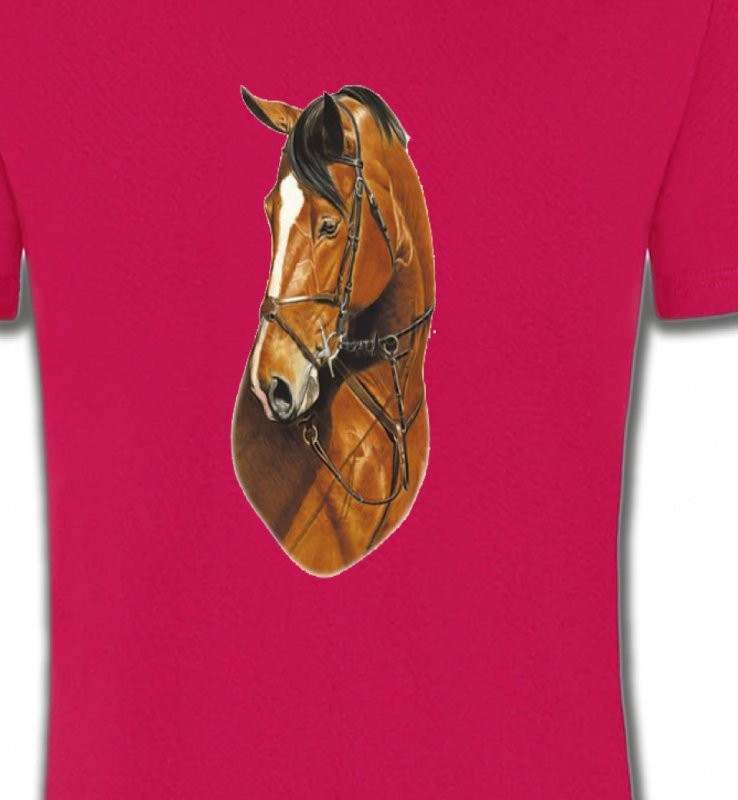 Cheval brun (J)