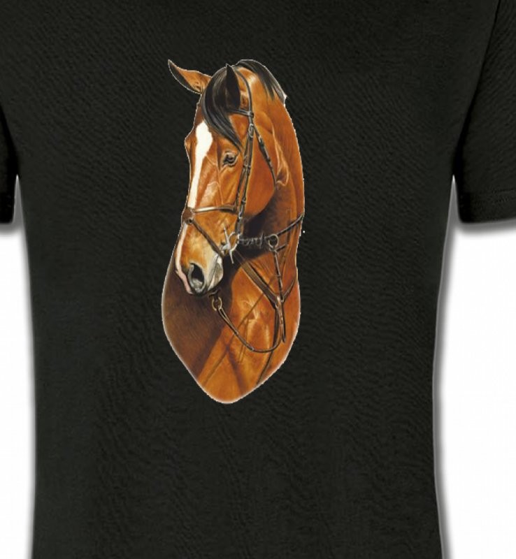 Cheval brun (J)