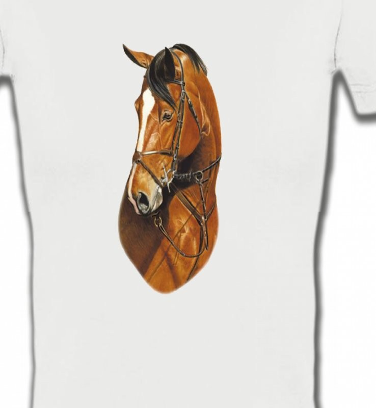 Cheval brun (J)
