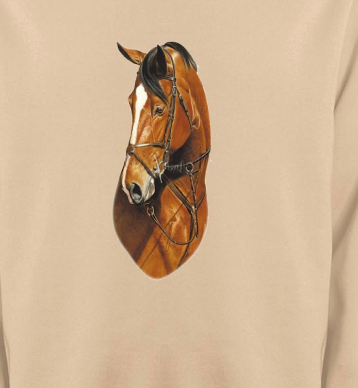 Cheval brun (J)