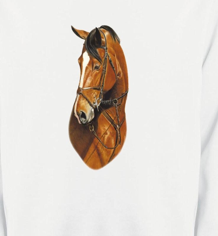 Cheval brun (J)