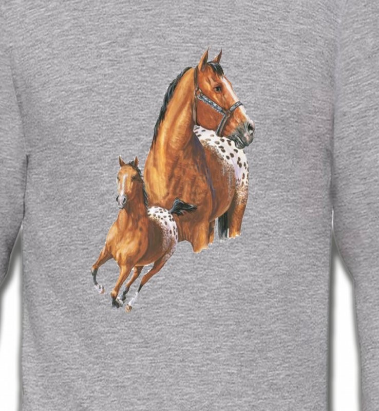 T-shirt cheval Appaloosa (G)