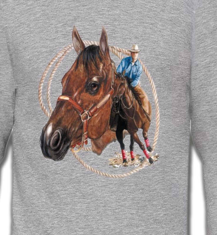 Cowboy et son cheval (E2)