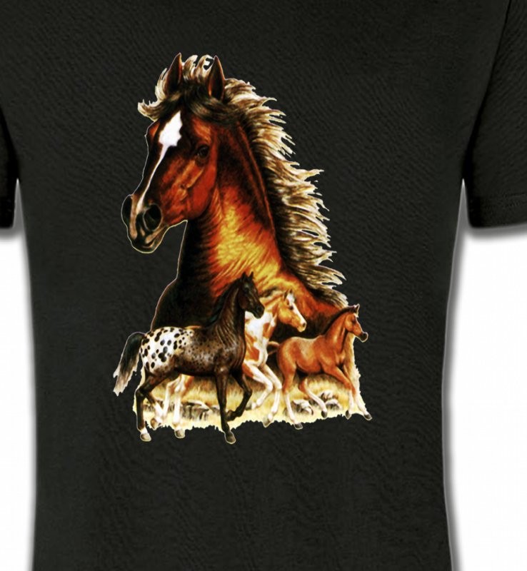 Chevaux (F)