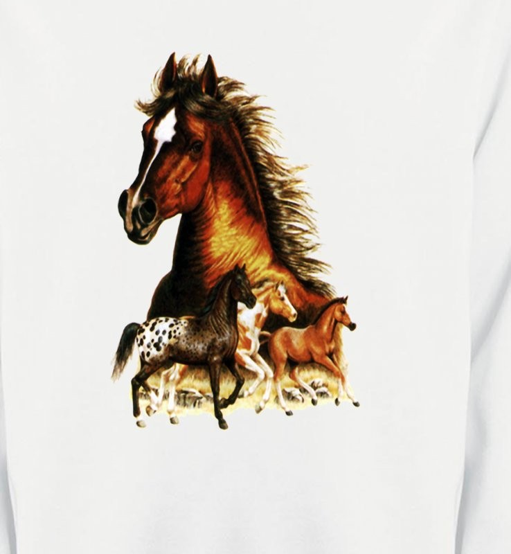 Chevaux (F)