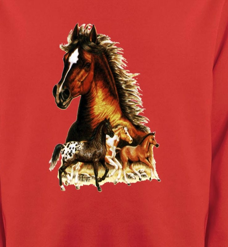 Chevaux (F)