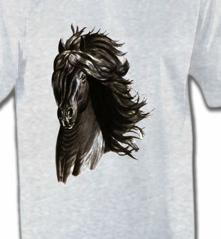 Cheval noir